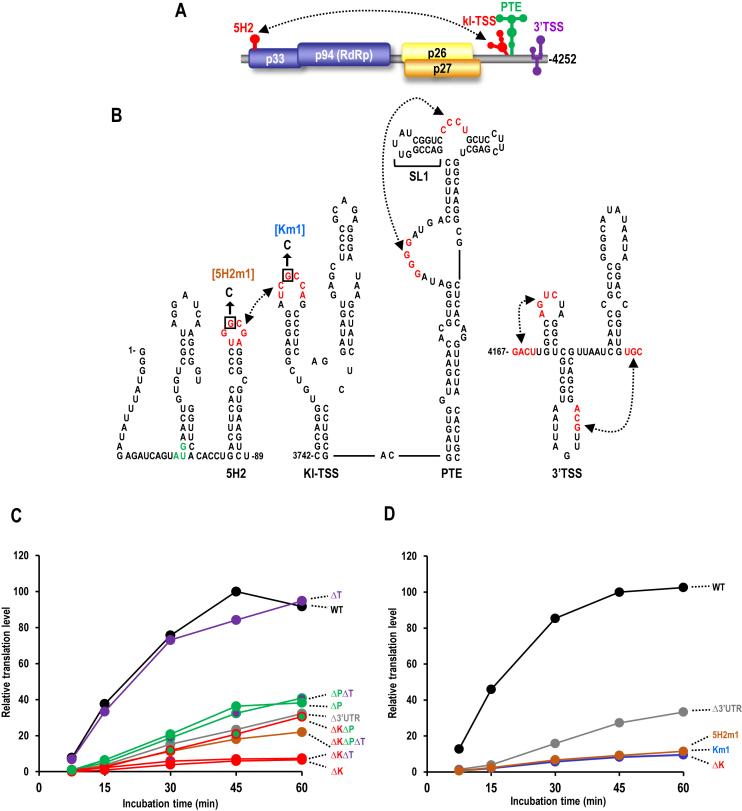 https://cdn.ncbi.nlm.nih.gov/pmc/blobs/249f/5766195/1798f4a99cf8/gkx643fig1.jpg