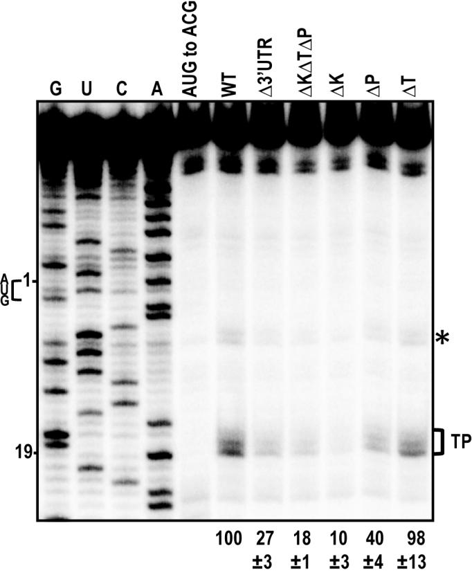 https://cdn.ncbi.nlm.nih.gov/pmc/blobs/249f/5766195/1a49fde2a4da/gkx643fig6.jpg
