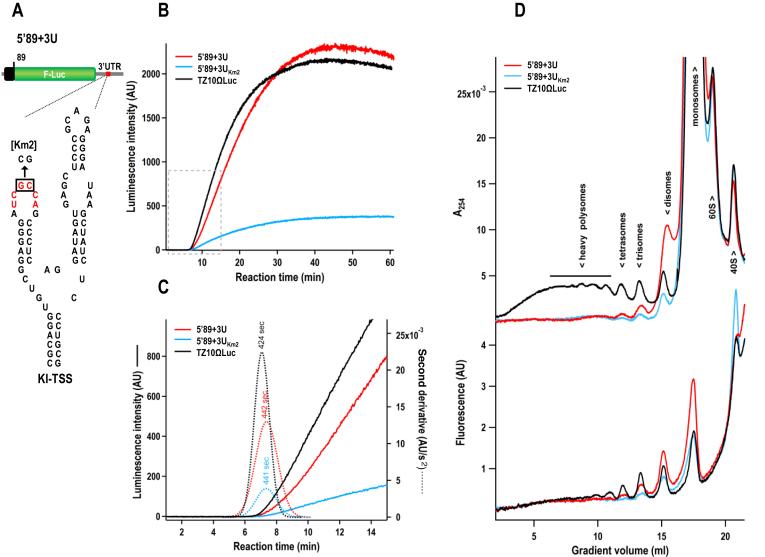 https://cdn.ncbi.nlm.nih.gov/pmc/blobs/249f/5766195/efdc480625be/gkx643fig7.jpg