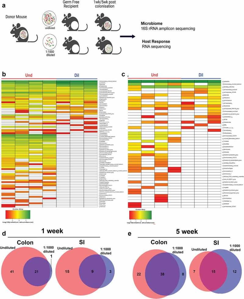 https://cdn.ncbi.nlm.nih.gov/pmc/blobs/24a4/9331198/a0701bf2f2af/KGMI_A_2104086_F0002_OC.jpg