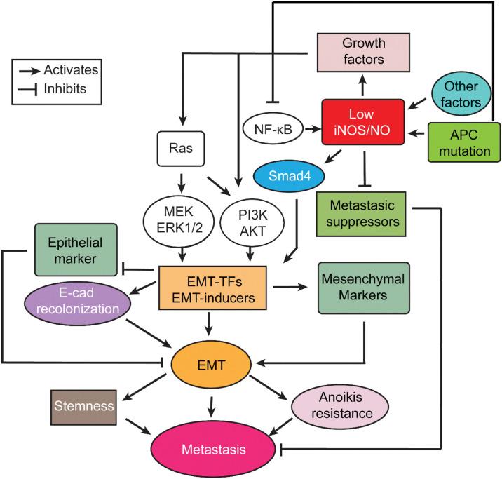 https://cdn.ncbi.nlm.nih.gov/pmc/blobs/24a5/9890133/494f0595231e/102fig7.jpg