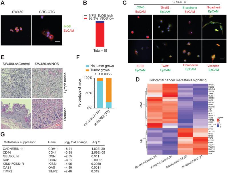 https://cdn.ncbi.nlm.nih.gov/pmc/blobs/24a5/9890133/e4a91622cee4/102fig6.jpg