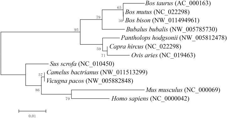 https://cdn.ncbi.nlm.nih.gov/pmc/blobs/24a7/5393602/0cc7c10c0c4d/pone.0175777.g002.jpg