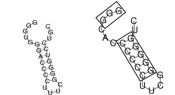 https://cdn.ncbi.nlm.nih.gov/pmc/blobs/24a8/1182351/d98f821d3ce8/1471-2105-6-160-6.jpg