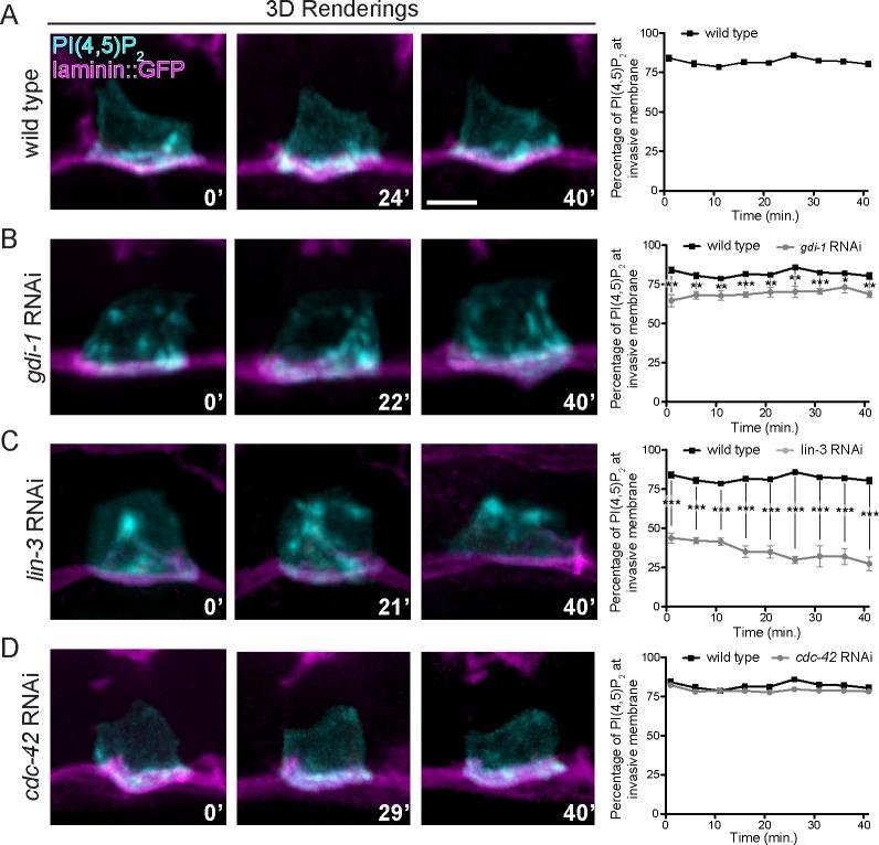 https://cdn.ncbi.nlm.nih.gov/pmc/blobs/24a8/4713207/af4529f8a855/pgen.1005786.g006.jpg