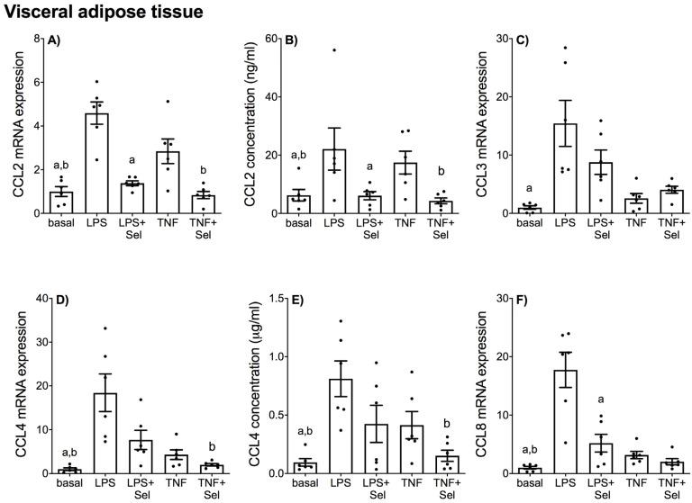 https://cdn.ncbi.nlm.nih.gov/pmc/blobs/24a9/9416138/267ddcd35b62/nutrients-14-03286-g006.jpg