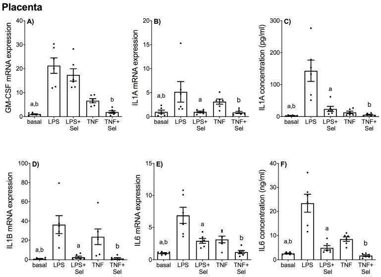 https://cdn.ncbi.nlm.nih.gov/pmc/blobs/24a9/9416138/38e27dadf51d/nutrients-14-03286-g001.jpg