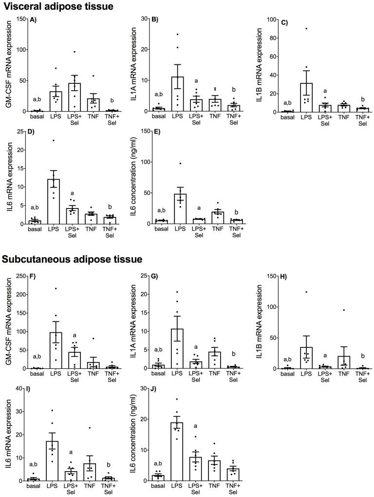 https://cdn.ncbi.nlm.nih.gov/pmc/blobs/24a9/9416138/3b3e90d7b973/nutrients-14-03286-g002.jpg