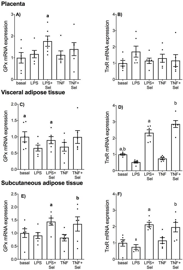 https://cdn.ncbi.nlm.nih.gov/pmc/blobs/24a9/9416138/8a11c305b30d/nutrients-14-03286-g010.jpg