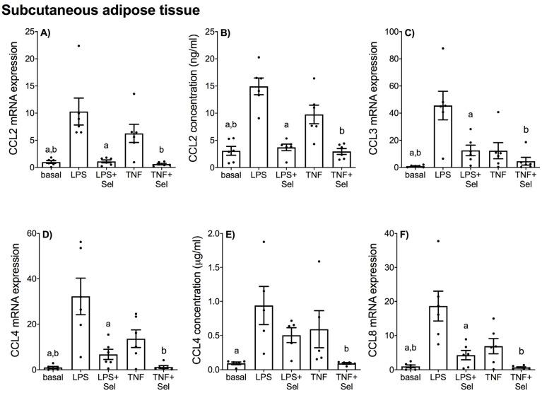 https://cdn.ncbi.nlm.nih.gov/pmc/blobs/24a9/9416138/b285d78b2133/nutrients-14-03286-g008.jpg