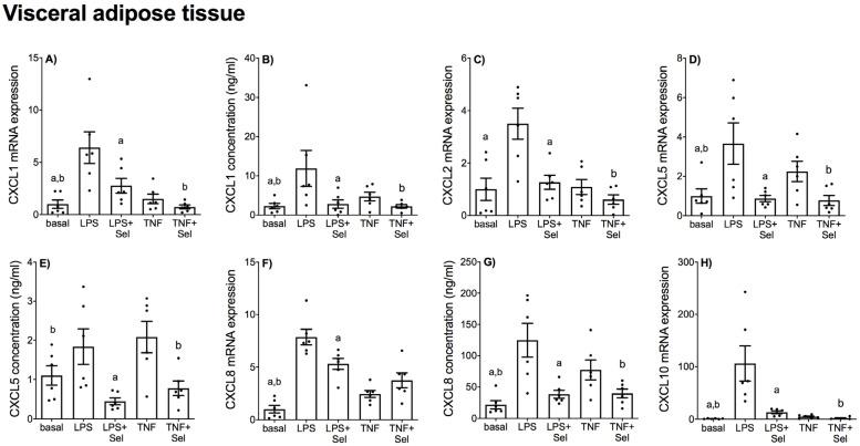 https://cdn.ncbi.nlm.nih.gov/pmc/blobs/24a9/9416138/b817b5f8739e/nutrients-14-03286-g007.jpg