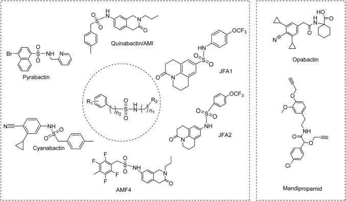 https://cdn.ncbi.nlm.nih.gov/pmc/blobs/24aa/9355028/7557f95f4e6a/fchem-10-967404-g005.jpg