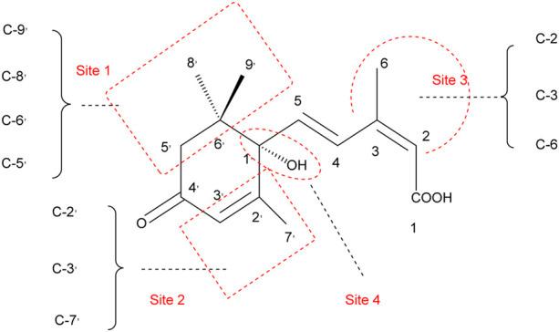 https://cdn.ncbi.nlm.nih.gov/pmc/blobs/24aa/9355028/b6732063cf96/fchem-10-967404-g004.jpg