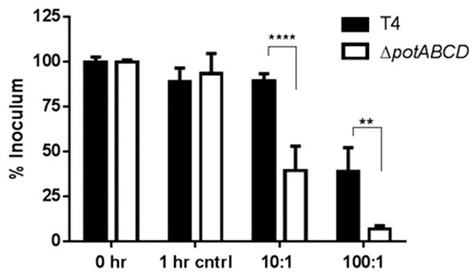 https://cdn.ncbi.nlm.nih.gov/pmc/blobs/24ab/4887915/2b9e4c16992f/srep26964-f4.jpg
