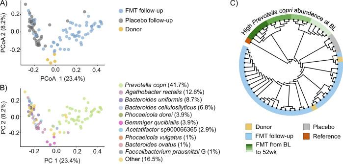 https://cdn.ncbi.nlm.nih.gov/pmc/blobs/24ac/11349920/34f7760e2c6e/41522_2024_549_Fig3_HTML.jpg