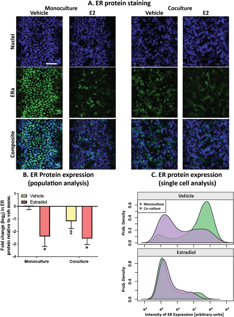 https://cdn.ncbi.nlm.nih.gov/pmc/blobs/24ad/5940820/fd461e185e68/41598_2018_25461_Fig3_HTML.jpg