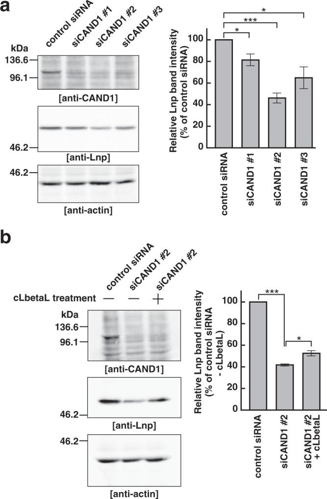 https://cdn.ncbi.nlm.nih.gov/pmc/blobs/24ae/6739345/5fdb9027284d/41598_2019_49542_Fig6_HTML.jpg