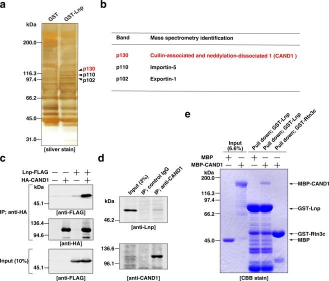 https://cdn.ncbi.nlm.nih.gov/pmc/blobs/24ae/6739345/d399bbd82909/41598_2019_49542_Fig1_HTML.jpg