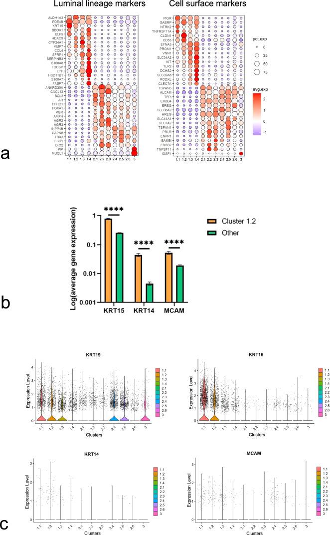 https://cdn.ncbi.nlm.nih.gov/pmc/blobs/24ae/9276673/9389f788ce5e/41523_2022_444_Fig2a_HTML.jpg