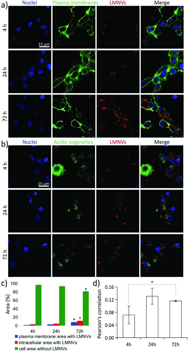 https://cdn.ncbi.nlm.nih.gov/pmc/blobs/24b0/6336008/b2e15357a462/c8nr05520c-f4.jpg