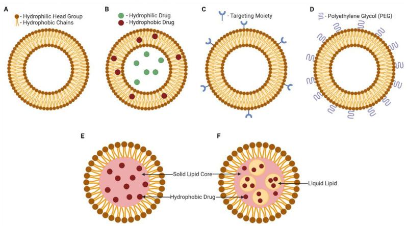 https://cdn.ncbi.nlm.nih.gov/pmc/blobs/24b0/9496059/af7e3255c0b3/biomedicines-10-02179-g001.jpg