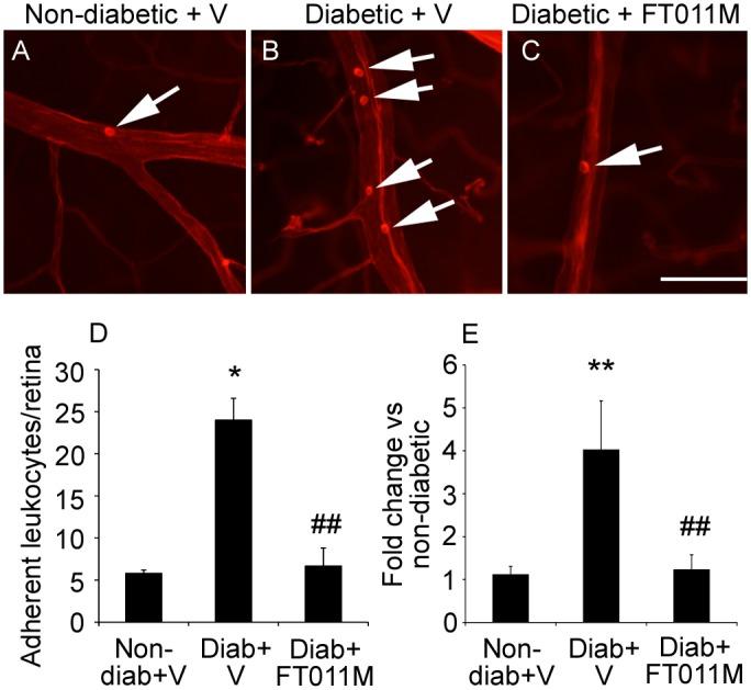 https://cdn.ncbi.nlm.nih.gov/pmc/blobs/24b1/4519240/e50fc3e28871/pone.0134392.g001.jpg