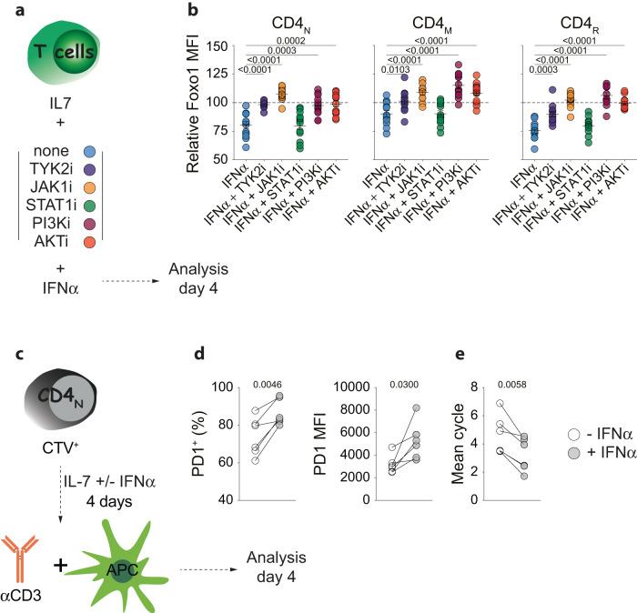https://cdn.ncbi.nlm.nih.gov/pmc/blobs/24b2/10897180/29d5ca2914f3/41467_2024_45984_Fig7_HTML.jpg