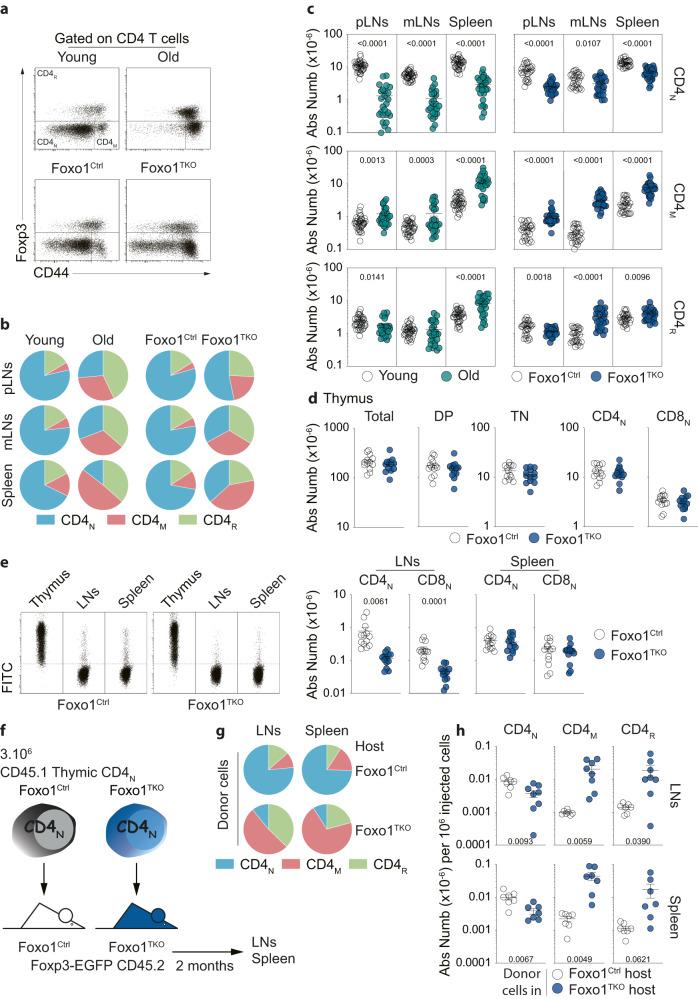 https://cdn.ncbi.nlm.nih.gov/pmc/blobs/24b2/10897180/78b97ee1e5ac/41467_2024_45984_Fig2_HTML.jpg