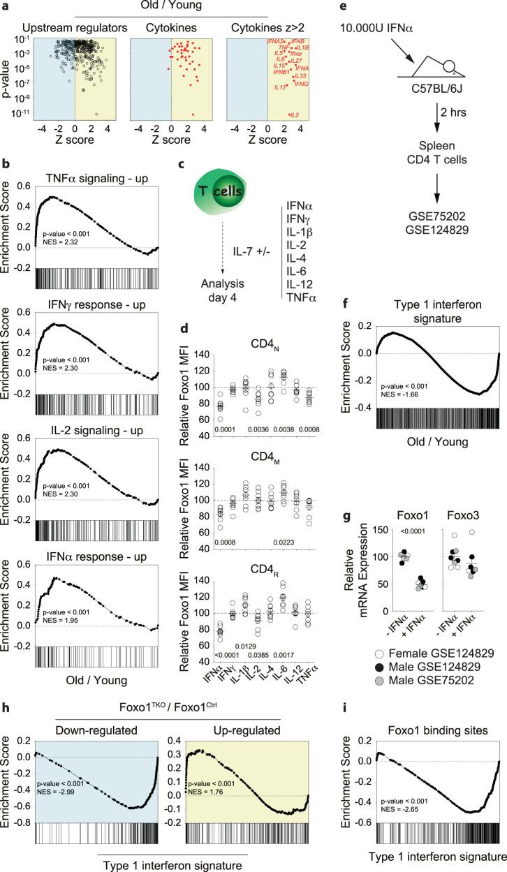 https://cdn.ncbi.nlm.nih.gov/pmc/blobs/24b2/10897180/ad2ca41fcaf3/41467_2024_45984_Fig6_HTML.jpg