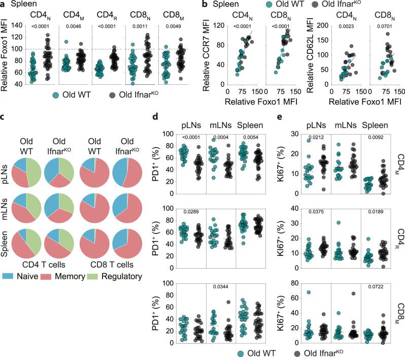 https://cdn.ncbi.nlm.nih.gov/pmc/blobs/24b2/10897180/c8e6fe769229/41467_2024_45984_Fig8_HTML.jpg
