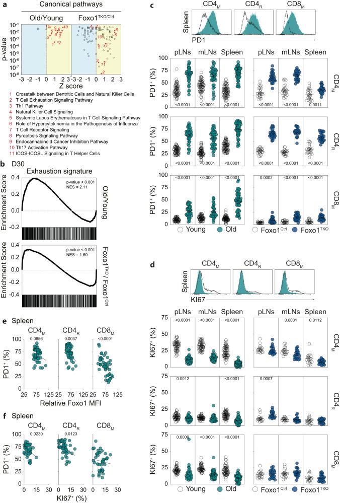 https://cdn.ncbi.nlm.nih.gov/pmc/blobs/24b2/10897180/d8e20034b441/41467_2024_45984_Fig3_HTML.jpg