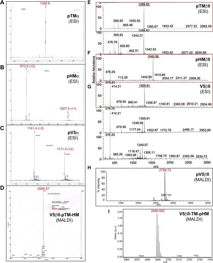 https://cdn.ncbi.nlm.nih.gov/pmc/blobs/24b2/11060717/d61c1d1e9f08/elife-92884-fig1-figsupp5.jpg