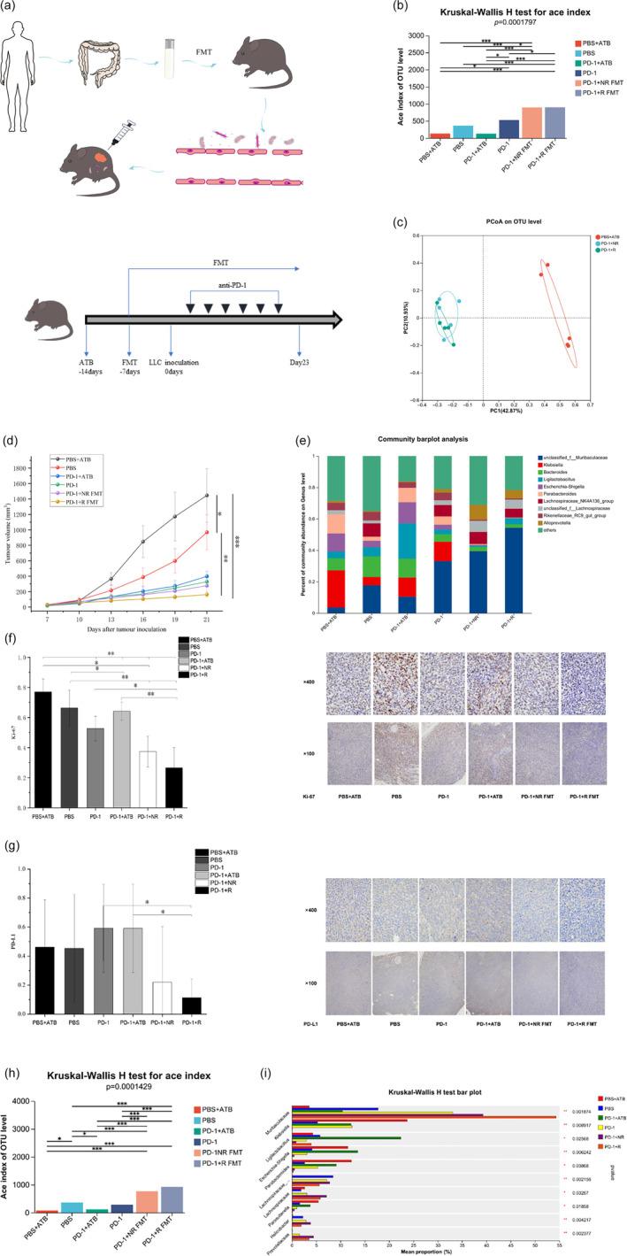 https://cdn.ncbi.nlm.nih.gov/pmc/blobs/24b5/11091776/3d9799fdfab4/TCA-15-1149-g001.jpg