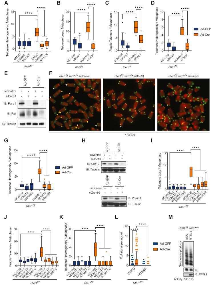 https://cdn.ncbi.nlm.nih.gov/pmc/blobs/24b5/5786504/2fc806b519af/figs5.jpg