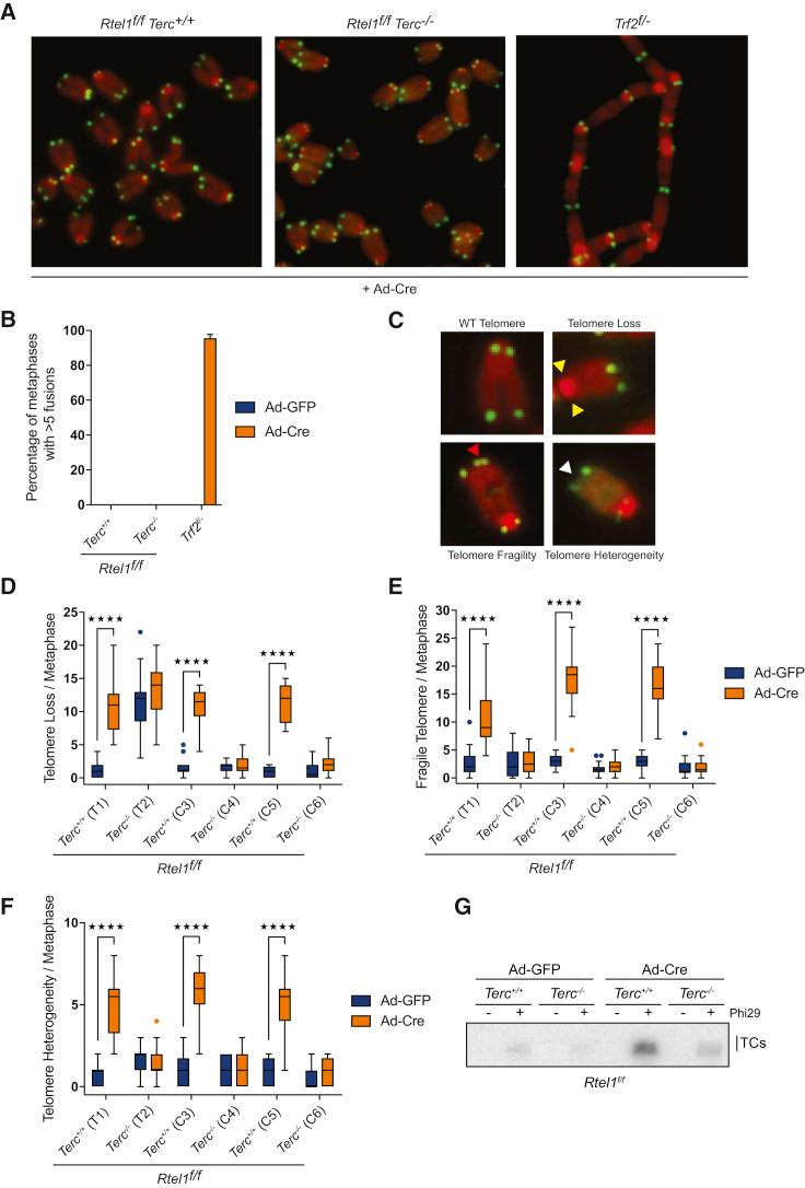 https://cdn.ncbi.nlm.nih.gov/pmc/blobs/24b5/5786504/48ec02c9d19f/gr1.jpg