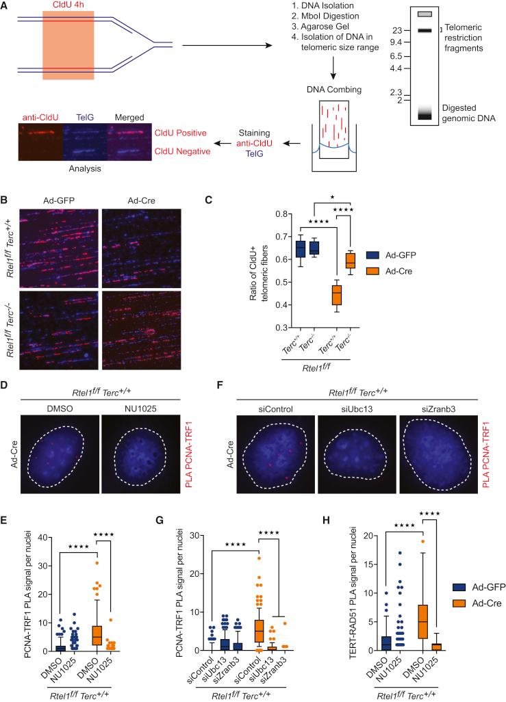 https://cdn.ncbi.nlm.nih.gov/pmc/blobs/24b5/5786504/d92f6f9f55e0/gr7.jpg