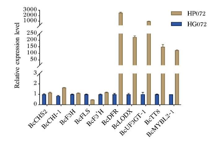 https://cdn.ncbi.nlm.nih.gov/pmc/blobs/24b5/9222865/6d08d719b551/genes-13-00988-g004.jpg
