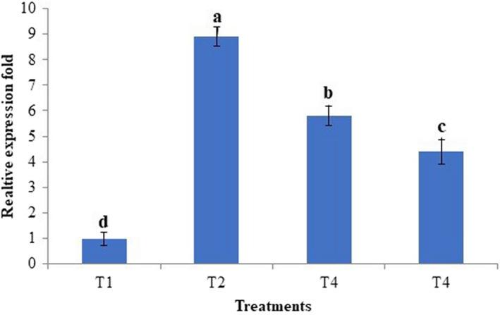 https://cdn.ncbi.nlm.nih.gov/pmc/blobs/24b5/9548345/372c9693b3e9/FSN3-10-3314-g002.jpg