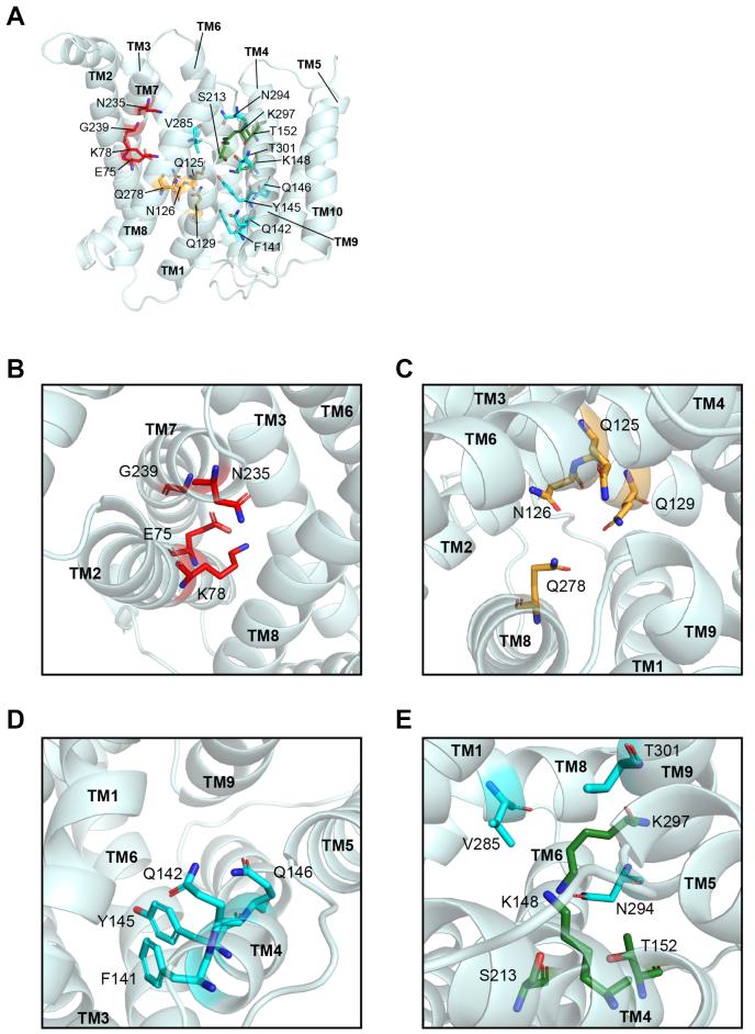 https://cdn.ncbi.nlm.nih.gov/pmc/blobs/24b9/8411240/20393751ddd7/gr1.jpg