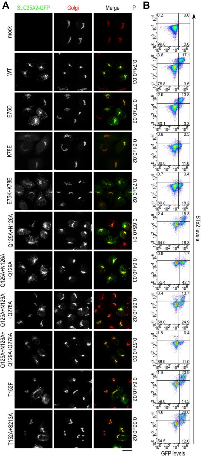 https://cdn.ncbi.nlm.nih.gov/pmc/blobs/24b9/8411240/ffc5ae8a44f2/gr9.jpg