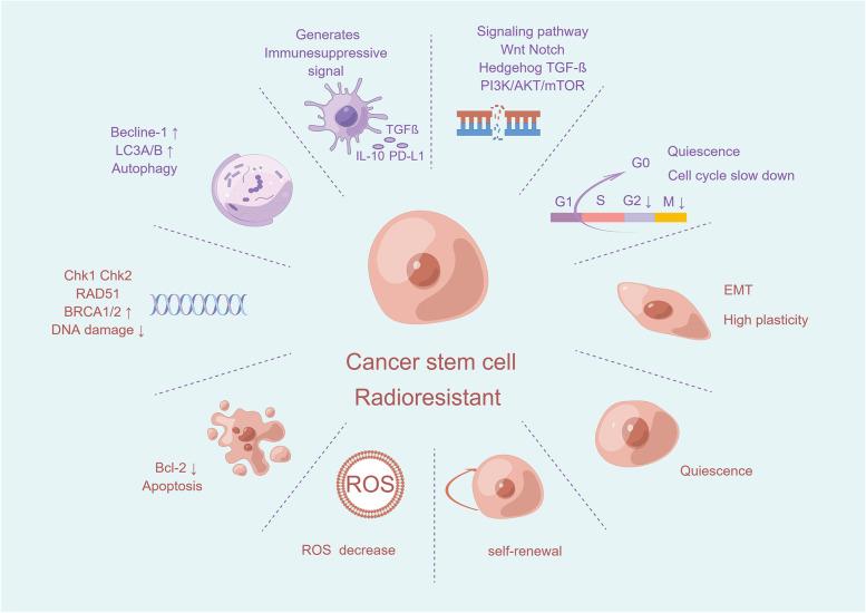 https://cdn.ncbi.nlm.nih.gov/pmc/blobs/24ba/10268375/f0d5cac0ff34/12943_2023_1801_Fig3_HTML.jpg