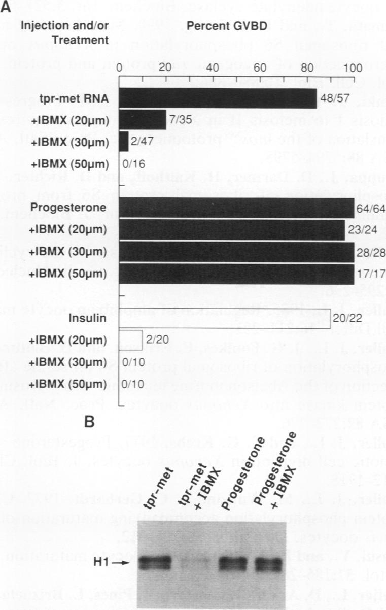 https://cdn.ncbi.nlm.nih.gov/pmc/blobs/24bc/361762/c3d5f0c70fe1/molcellb00036-0201-a.jpg