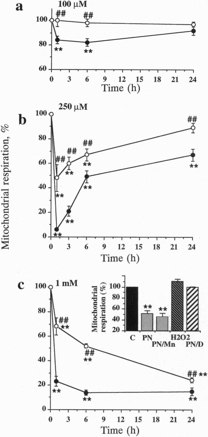 https://cdn.ncbi.nlm.nih.gov/pmc/blobs/24bd/39853/4e77f661f616/pnas01509-0029-a.jpg
