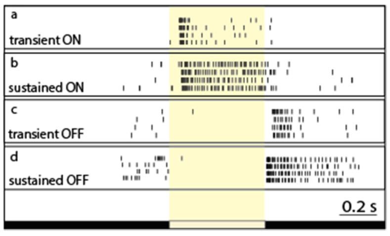 https://cdn.ncbi.nlm.nih.gov/pmc/blobs/24be/8909309/1f3f9f74cefa/cells-11-00810-g002.jpg