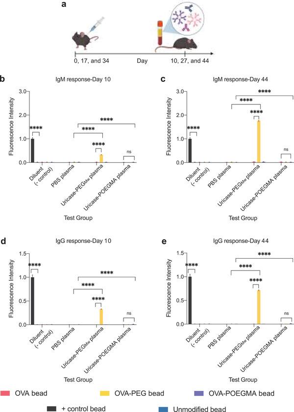https://cdn.ncbi.nlm.nih.gov/pmc/blobs/24c1/9008788/2e34a9d0e607/ADVS-9-2103672-g006.jpg