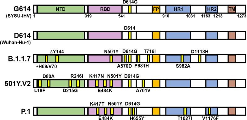 https://cdn.ncbi.nlm.nih.gov/pmc/blobs/24c4/8056881/1d28bf71d765/gr1_lrg.jpg