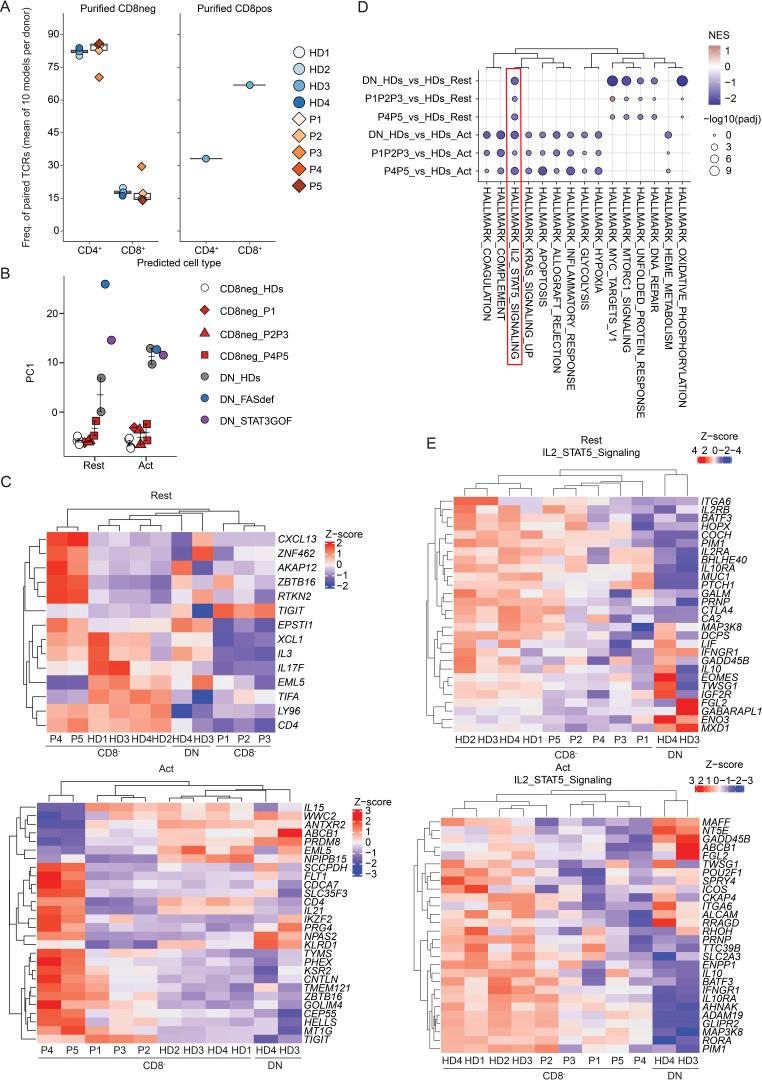 https://cdn.ncbi.nlm.nih.gov/pmc/blobs/24c6/10983808/1ce7b856452f/JEM_20231044_Fig4.jpg