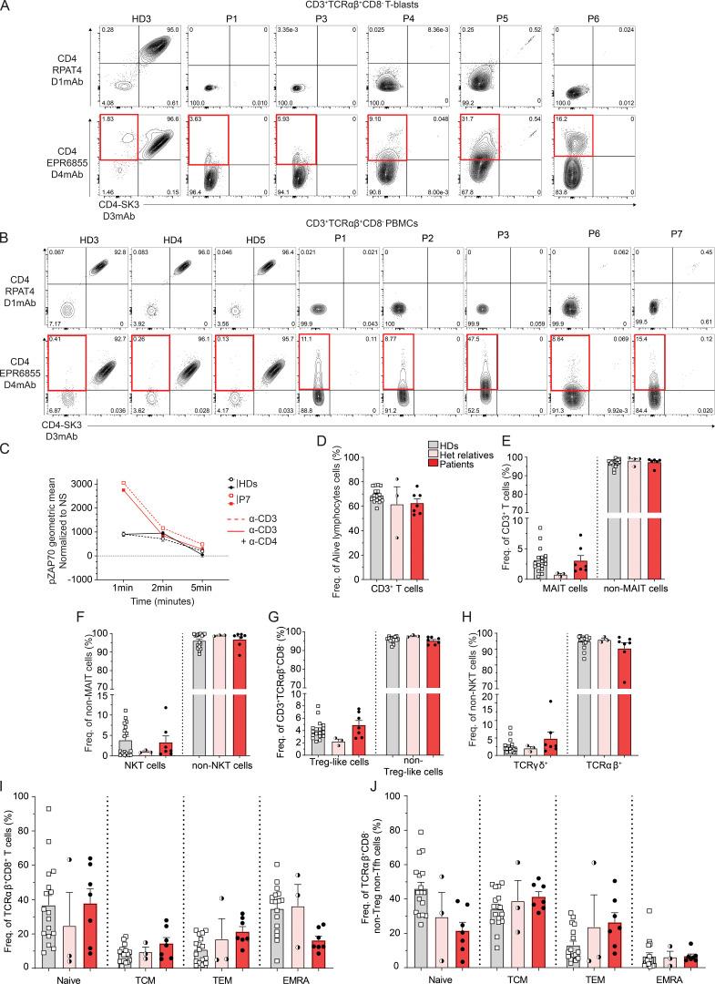 https://cdn.ncbi.nlm.nih.gov/pmc/blobs/24c6/10983808/72fb3e471670/JEM_20231044_FigS2.jpg