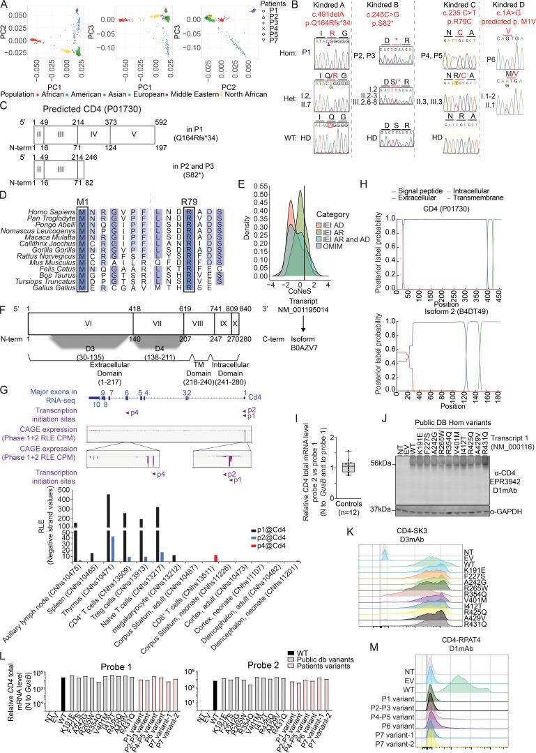 https://cdn.ncbi.nlm.nih.gov/pmc/blobs/24c6/10983808/b780e029996b/JEM_20231044_FigS1.jpg