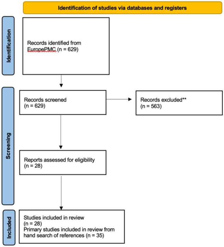https://cdn.ncbi.nlm.nih.gov/pmc/blobs/24c6/11703908/89dffbea660e/fpubh-12-1488687-g005.jpg